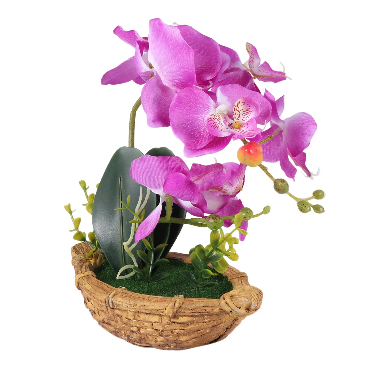 Simulation Orchid Large Bonsai Fake Plant Flowerpot Lightweight Natural Look Home Office Balcony Fake Flowerpot
Simulation Orchid Large Bonsai Fake Plant Flowerpot Lightweight Natural Look Home Office Balcony Fake Flowerpot