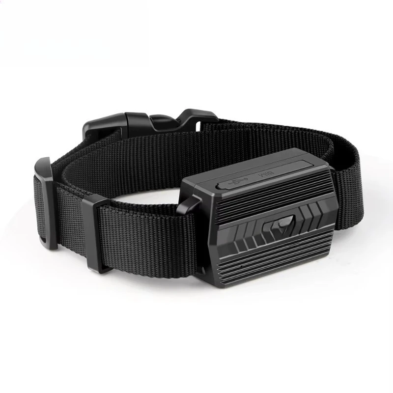 Animals Tracking Fence Livestock Cow Gps Tracker Hunting Dog Gps Collares
Animals Tracking Fence Livestock Cow Gps Tracker Hunting Dog Gps Collares