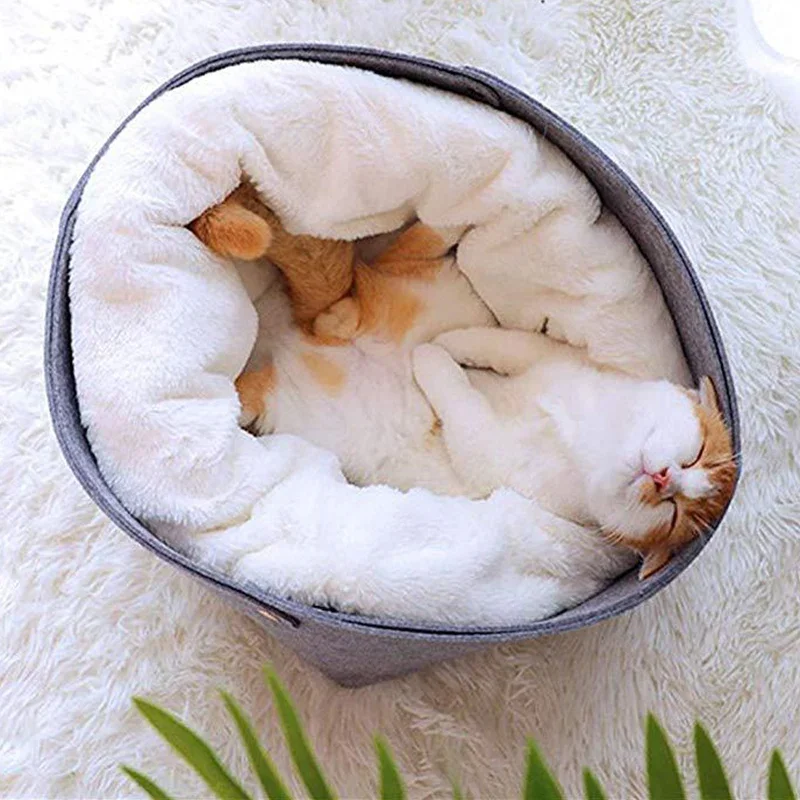 Pet Cat Bed Wool Felt Soft Cat Basket Comfortable Cat House Puppy Warm Puppy Winter Cotton Sofa Cat Bench Pets Products
Pet Cat Bed Wool Felt Soft Cat Basket Comfortable Cat House Puppy Warm Puppy Winter Cotton Sofa Cat Bench Pets Products