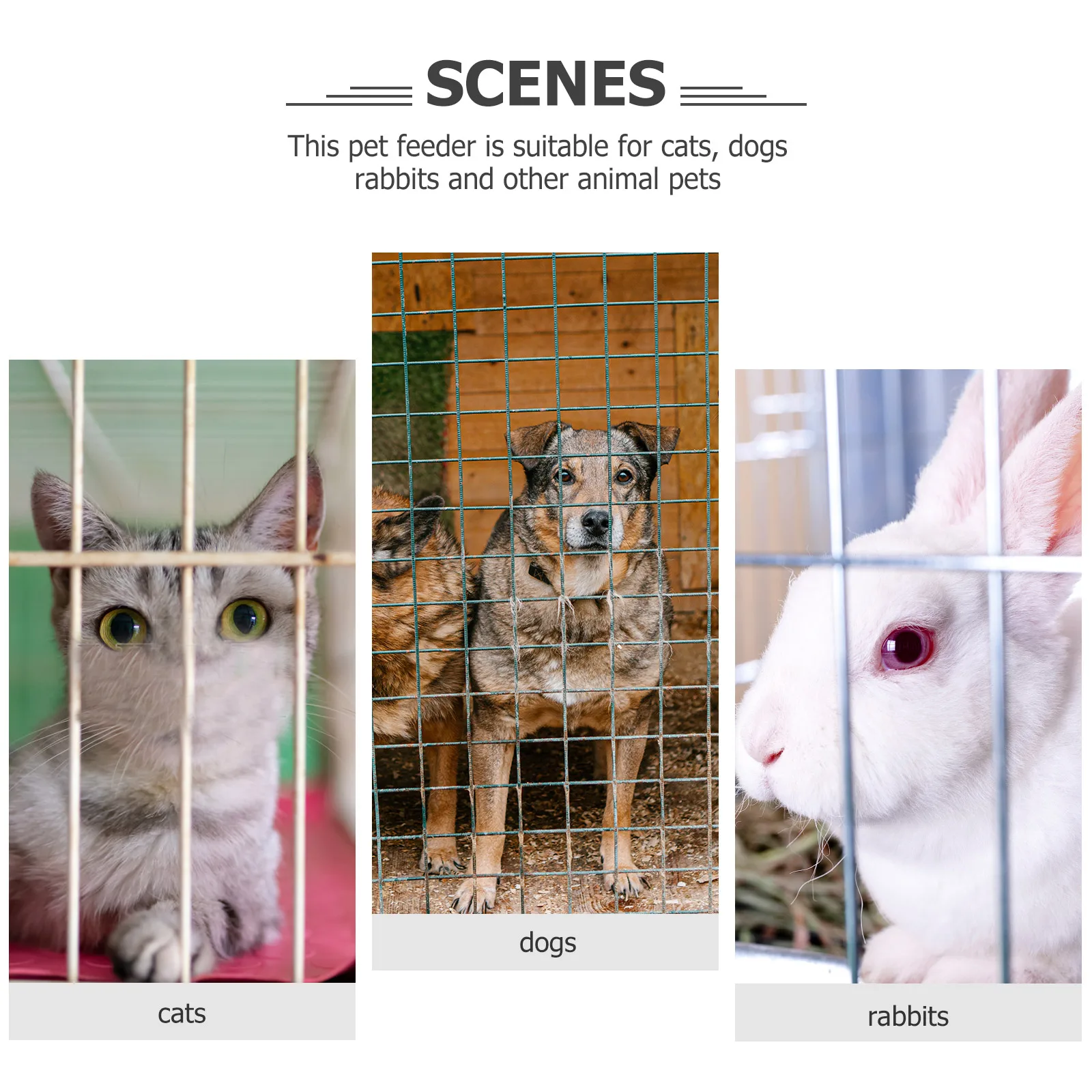 Stainless Steel Hanging Pet for Cats Dogs Large Crate Bowl Small Food Bowls Water Dispenser Detachable Design Easy Cleaning 
Stainless Steel Hanging Pet for Cats Dogs Large Crate Bowl Small Food Bowls Water Dispenser Detachable Design Easy Cleaning