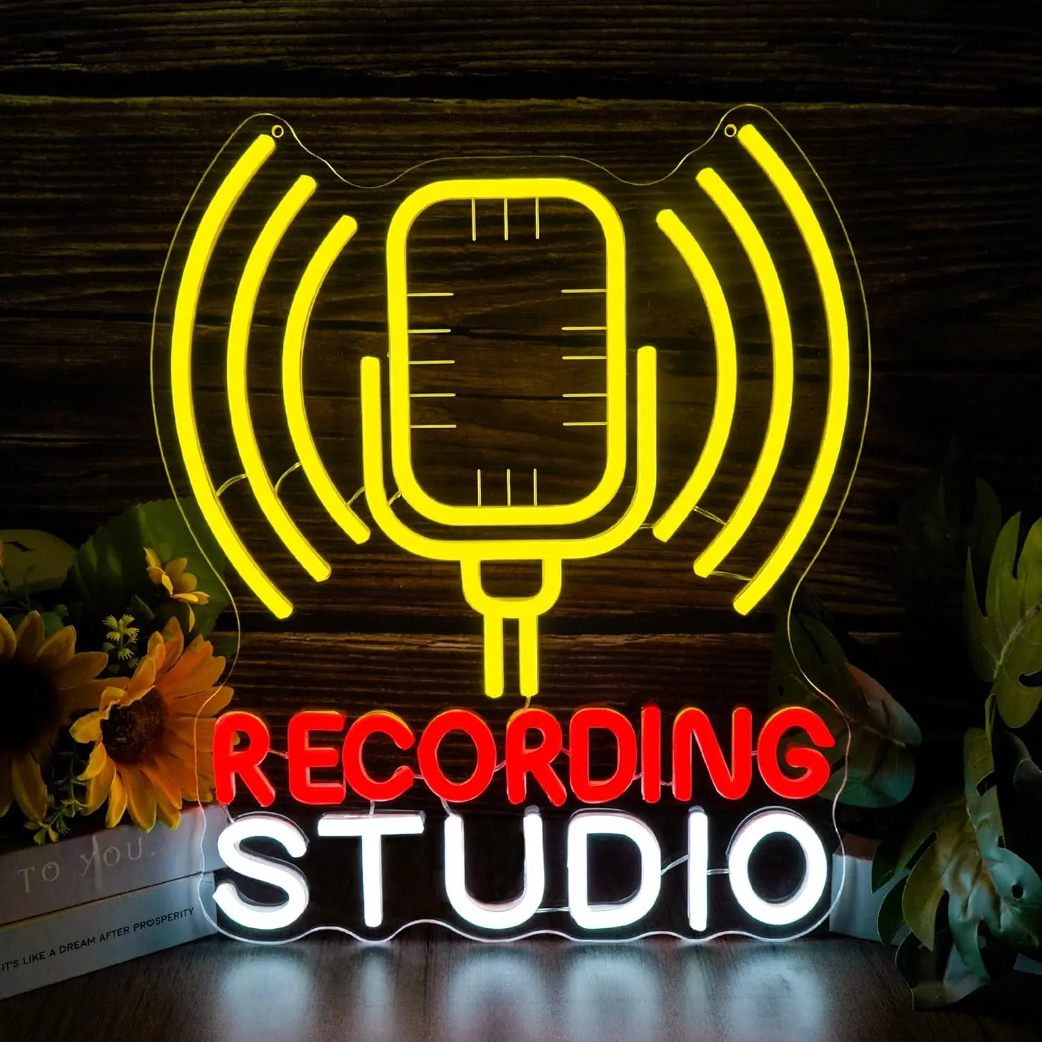 Recording Studio Neon Sign USB Powered LED Light for Studio Podcast Room Karaoke Bar Gaming Room Bedroom Decoration Gift
Recording Studio Neon Sign USB Powered LED Light for Studio Podcast Room Karaoke Bar Gaming Room Bedroom Decoration Gift