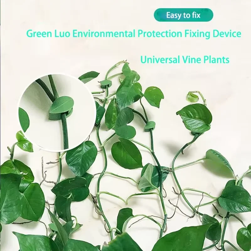 Self-Adhesive Green Ivy Climbing Vine Fixing Tool Plant Growth Clip Gardening Accessories for Seamless Plant Support
Self-Adhesive Green Ivy Climbing Vine Fixing Tool Plant Growth Clip Gardening Accessories for Seamless Plant Support