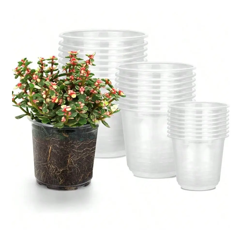 6 5 3.5 Inch Clear Nursery Pots With Drainage 24 Pack Clear Nursery Pots For Plants Flexible Plastic Garden Flower Pot
6 5 3.5 Inch Clear Nursery Pots With Drainage 24 Pack Clear Nursery Pots For Plants Flexible Plastic Garden Flower Pot
