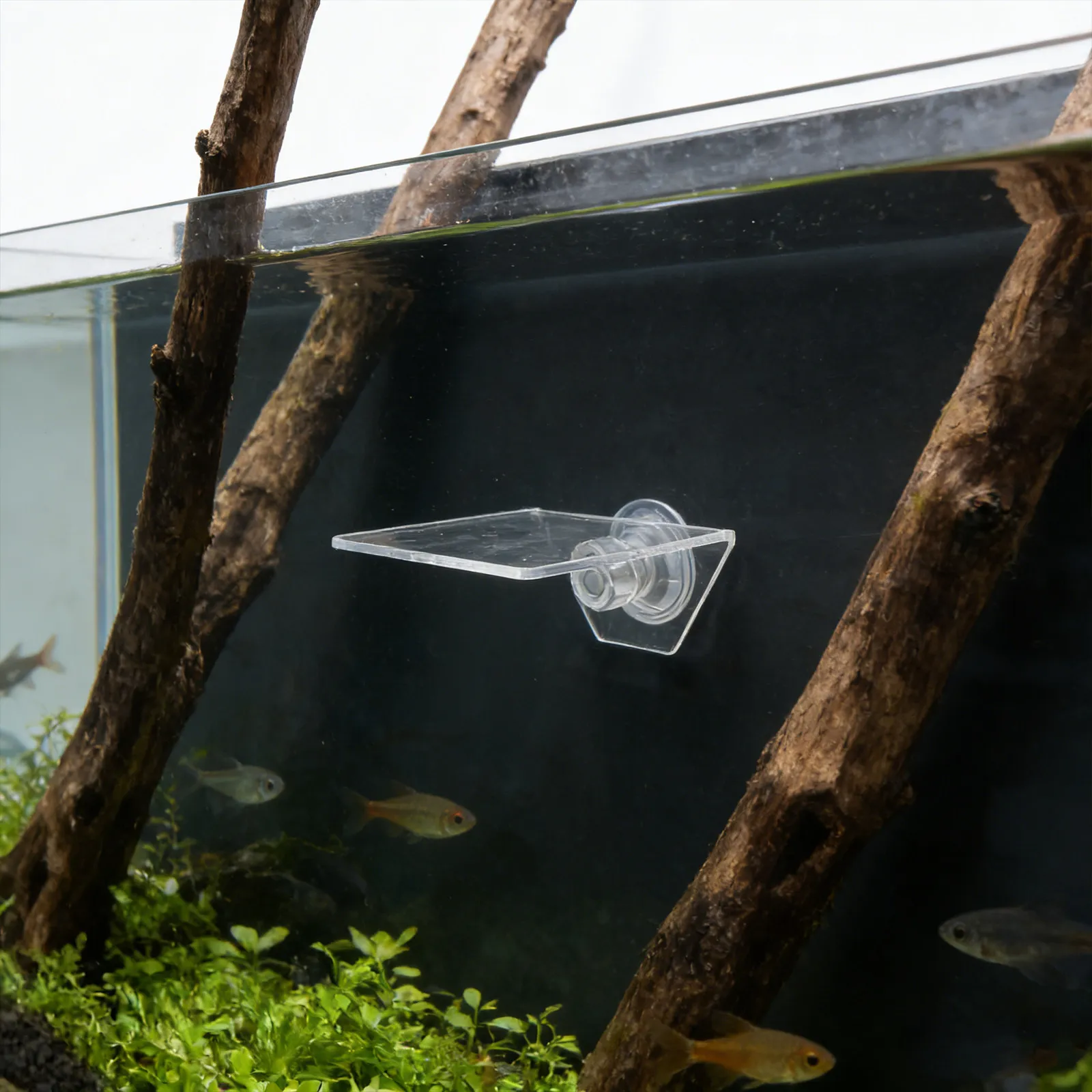 Aquarium Floating Shelf with Suction Cup Transparent Ledge Coral Acrylic Holder Plant Stand for Aquatic Fish Tank Accessories
Aquarium Floating Shelf with Suction Cup Transparent Ledge Coral Acrylic Holder Plant Stand for Aquatic Fish Tank Accessories