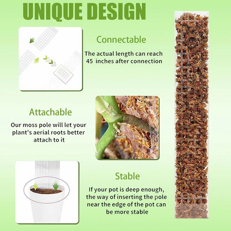 AS94-Plant Plastic Moss Poles For Plant Stakes And Sphagnum Moss To Support Climbing Plant Poles Turtle Back Moss Poles
AS94-Plant Plastic Moss Poles For Plant Stakes And Sphagnum Moss To Support Climbing Plant Poles Turtle Back Moss Poles