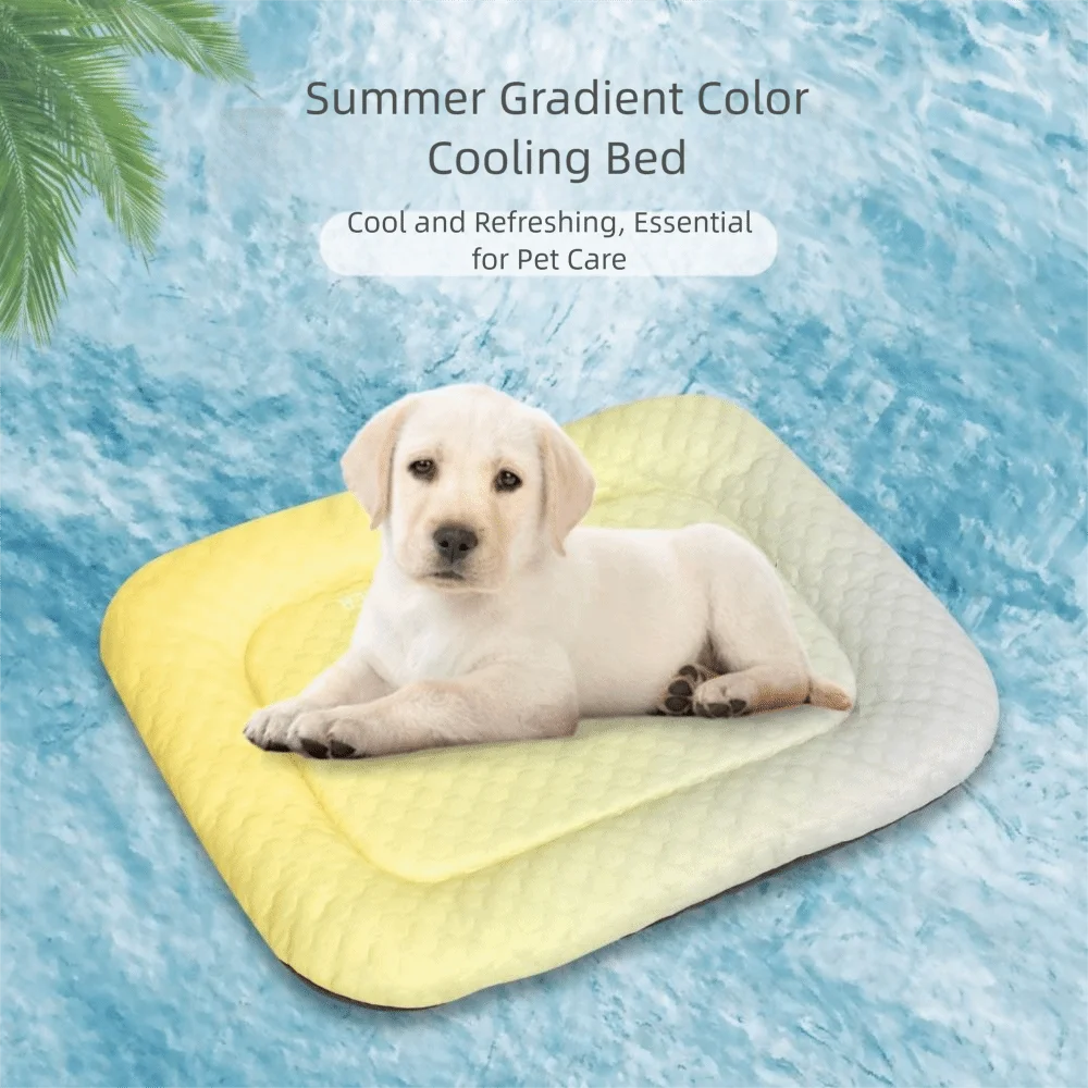 Cat House Mat Dopamine Pet Double-Sided Sleeping Mat Breathable Washable Dog Kennel Soft Non-slip Dog Bed for Cats and Dogs
Cat House Mat Dopamine Pet Double-Sided Sleeping Mat Breathable Washable Dog Kennel Soft Non-slip Dog Bed for Cats and Dogs