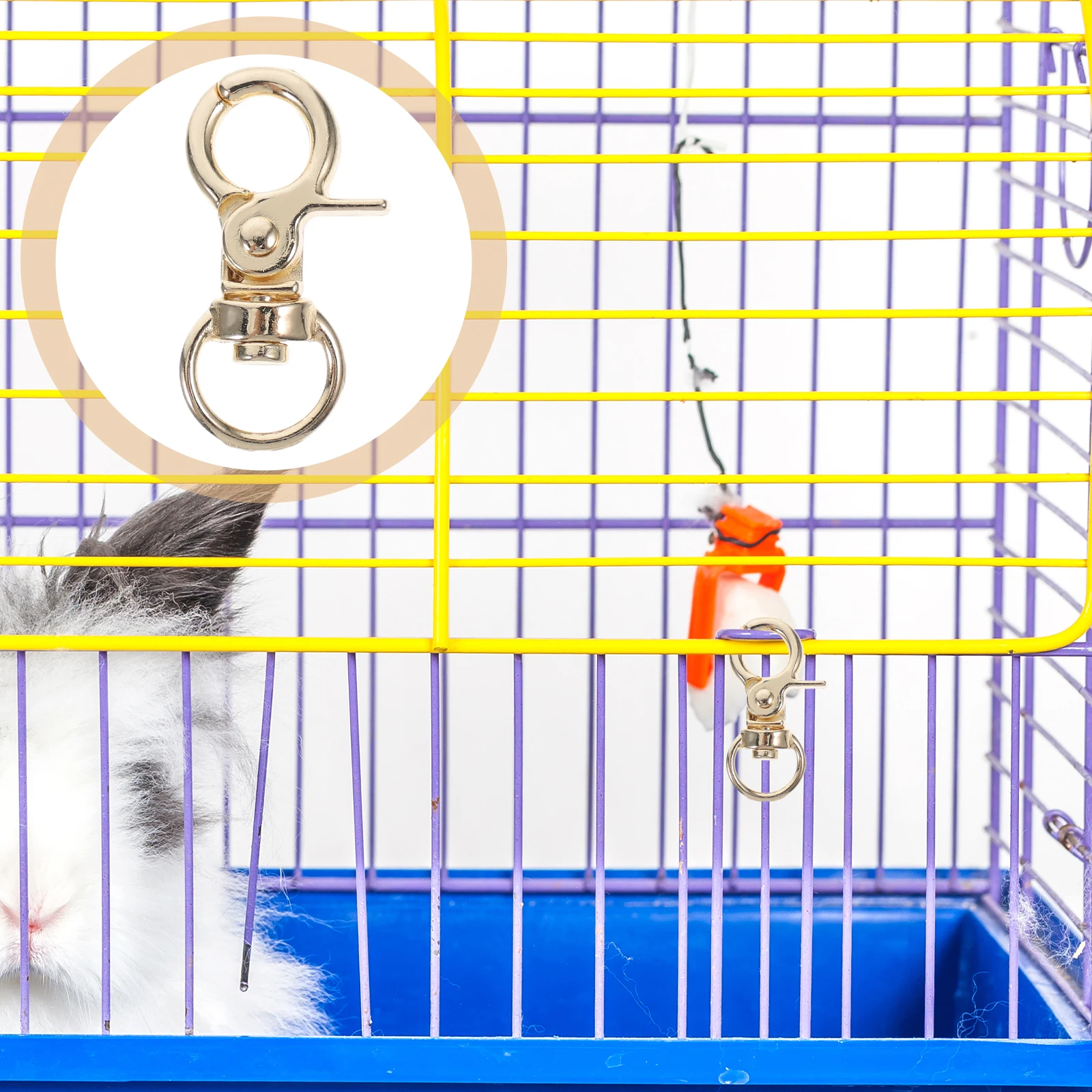 10 Pcs Birdcage Lock Anti-escape Accessory for Pet Buckles Accessories Door Safety
10 Pcs Birdcage Lock Anti-escape Accessory for Pet Buckles Accessories Door Safety