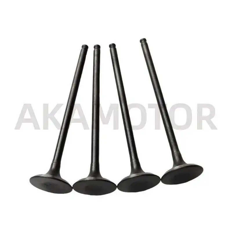 4 Pieces Exhaust / Intake Valve For Loncin Voge LX500GS-2 RR500S
4 Pieces Exhaust / Intake Valve For Loncin Voge LX500GS-2 RR500S