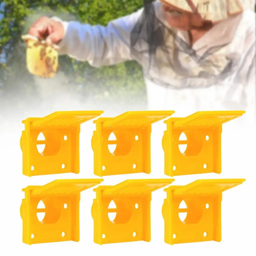 Hive Beekeeping Tool Entrance Gate Plastic Excluder Barrier Efficient Airflow Design for Bee Hives Boxes Honey Flow System
Hive Beekeeping Tool Entrance Gate Plastic Excluder Barrier Efficient Airflow Design for Bee Hives Boxes Honey Flow System