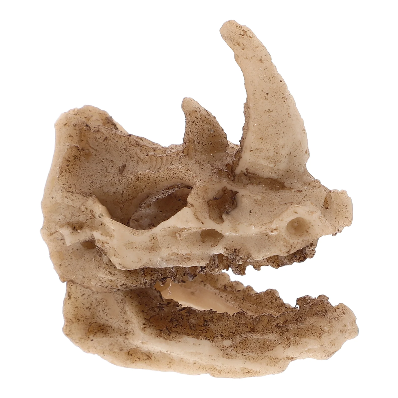 Rhino Skull Ornaments Resin Shelter Decorative Landscaping Safe Easy Clean Turtle Accessories Small Pets Cave Creative Hiding
Rhino Skull Ornaments Resin Shelter Decorative Landscaping Safe Easy Clean Turtle Accessories Small Pets Cave Creative Hiding