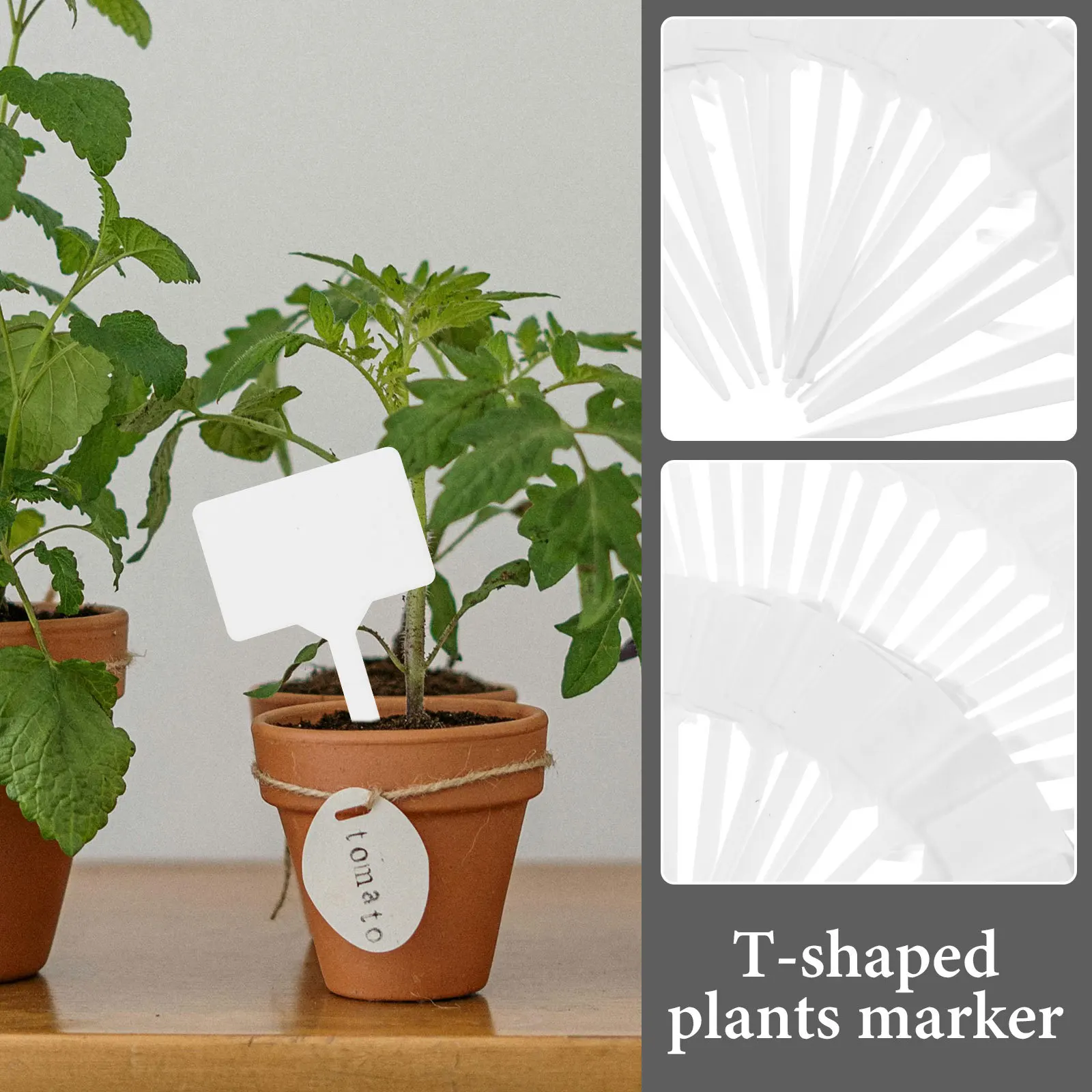50pcs Labels Blank Replaceable Markers For Garden Flower Pots Yard Decorative Tags Reusable Garden Supplies T-Shaped Plant Label
50pcs Labels Blank Replaceable Markers For Garden Flower Pots Yard Decorative Tags Reusable Garden Supplies T-Shaped Plant Label