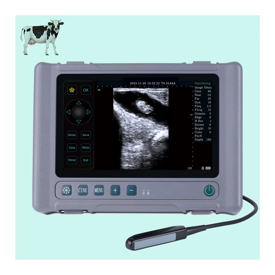 Portable Handheld Veterinary Ultrasonic Detector, Suitable for Horses and Cattle, Rectal Waterproof Probe B-ultrasound Machine
Portable Handheld Veterinary Ultrasonic Detector, Suitable for Horses and Cattle, Rectal Waterproof Probe B-ultrasound Machine