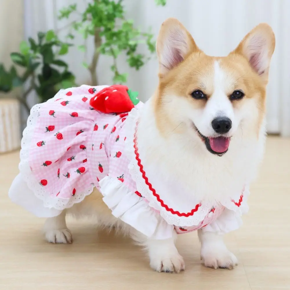 Fashion Cute Pet Strawberry Dress Breathable Soft Cat Skirt Thin Design Dog Vest for Puppy Kittens
Fashion Cute Pet Strawberry Dress Breathable Soft Cat Skirt Thin Design Dog Vest for Puppy Kittens
