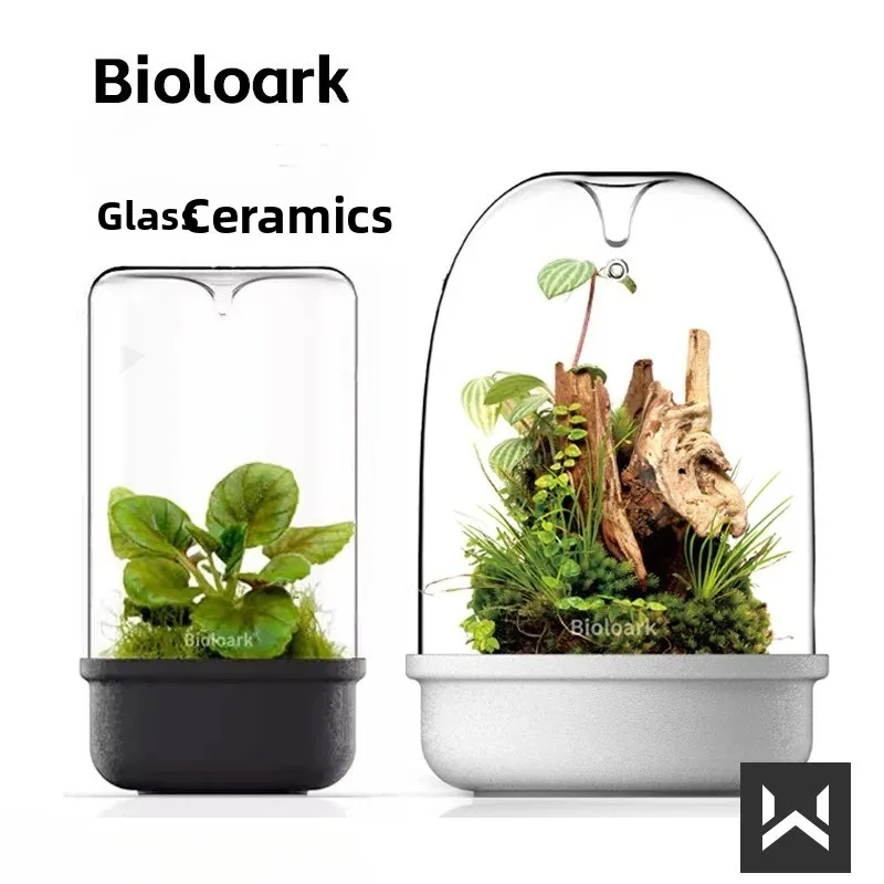 Dew Cup Glass Ceramic Micro-landscape Moss Bottle Desktop Mini Ecological Bottle Moss Bonsai Micro Landscape Fish Plants Bottle
Dew Cup Glass Ceramic Micro-landscape Moss Bottle Desktop Mini Ecological Bottle Moss Bonsai Micro Landscape Fish Plants Bottle