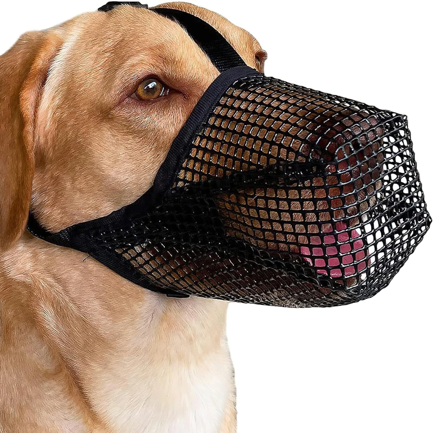 Stylish, secure, and breathable upgrade for your furry friend: top-quality dog muzzle for positive behavior training and ultimat
Stylish, secure, and breathable upgrade for your furry friend: top-quality dog muzzle for positive behavior training and ultimat