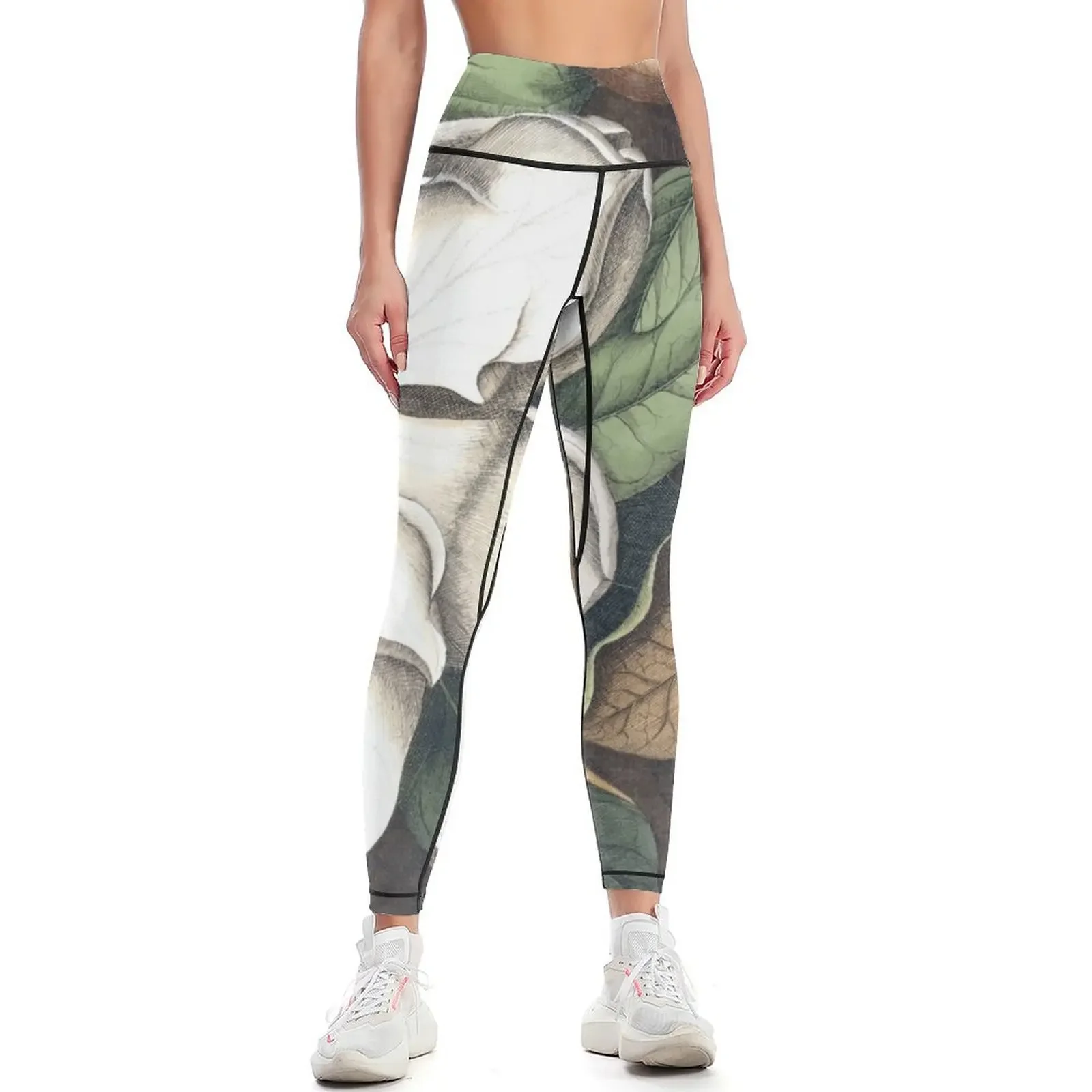 Magnolia Print, side Leggings Sports pants for Women sportwear gym's clothing workout shorts Womens Leggings
Magnolia Print, side Leggings Sports pants for Women sportwear gym's clothing workout shorts Womens Leggings