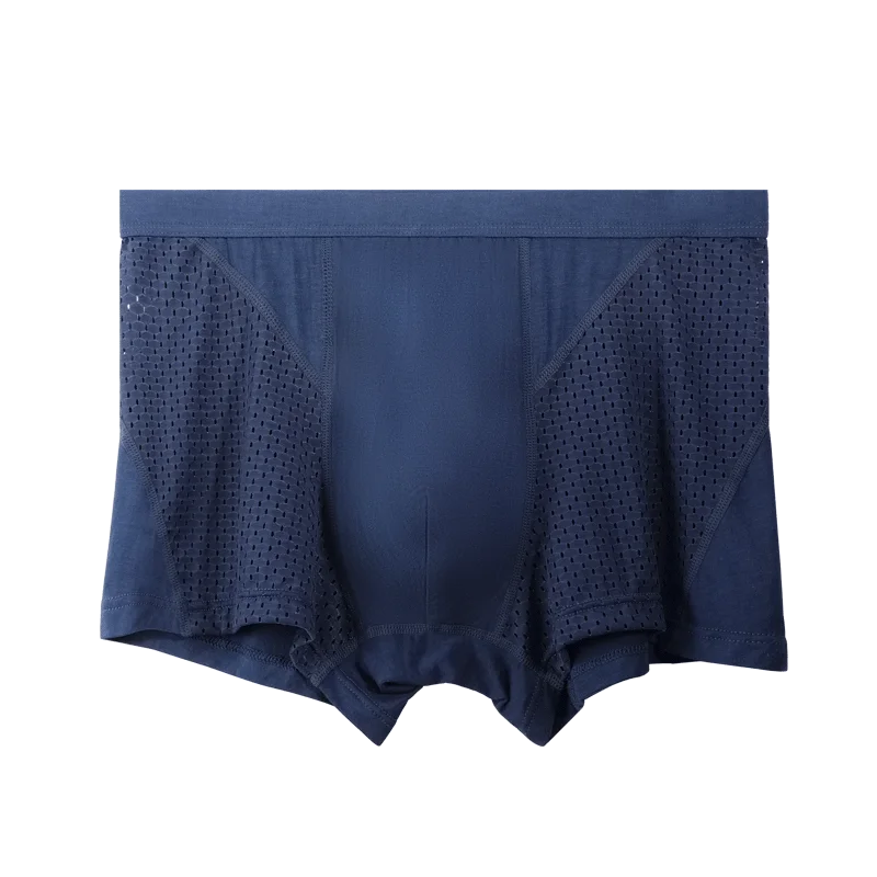 5PC Ice silk men's briefs, men's summer thin modal mesh breathable four-corner pants, men's short underpants
5PC Ice silk men's briefs, men's summer thin modal mesh breathable four-corner pants, men's short underpants