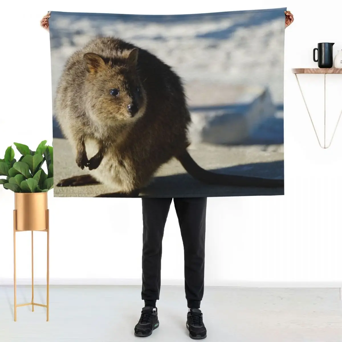 Rottnest Quokka Throw Blanket Versatile Cozy Throw Blanket for All Occasions
Rottnest Quokka Throw Blanket Versatile Cozy Throw Blanket for All Occasions