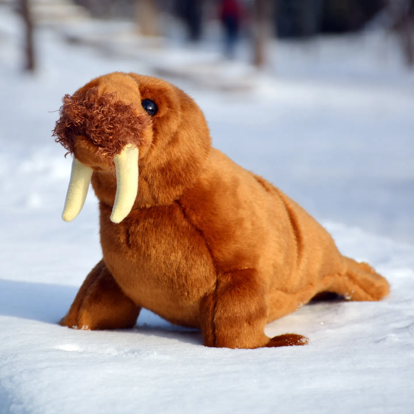 L38xH20cm Realistic Walrus Plush Toy Cute Marine Animal Plushie PP Cotton Kids Girl Birthday Gift
L38xH20cm Realistic Walrus Plush Toy Cute Marine Animal Plushie PP Cotton Kids Girl Birthday Gift