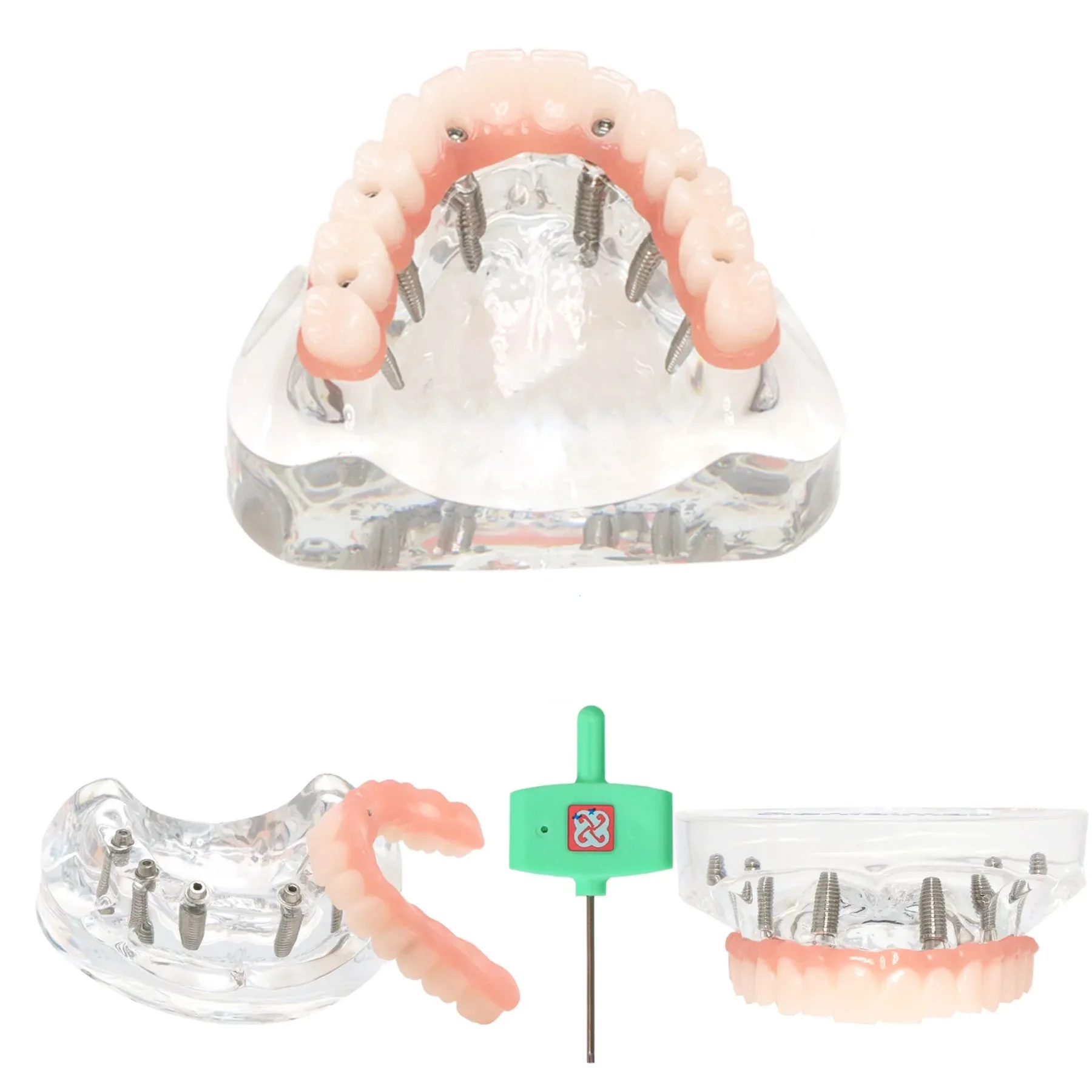 Dental Implant Restoration Model Upper Jaw The Realistic with 6 Screws Teaching Tool M6001-2
Dental Implant Restoration Model Upper Jaw The Realistic with 6 Screws Teaching Tool M6001-2