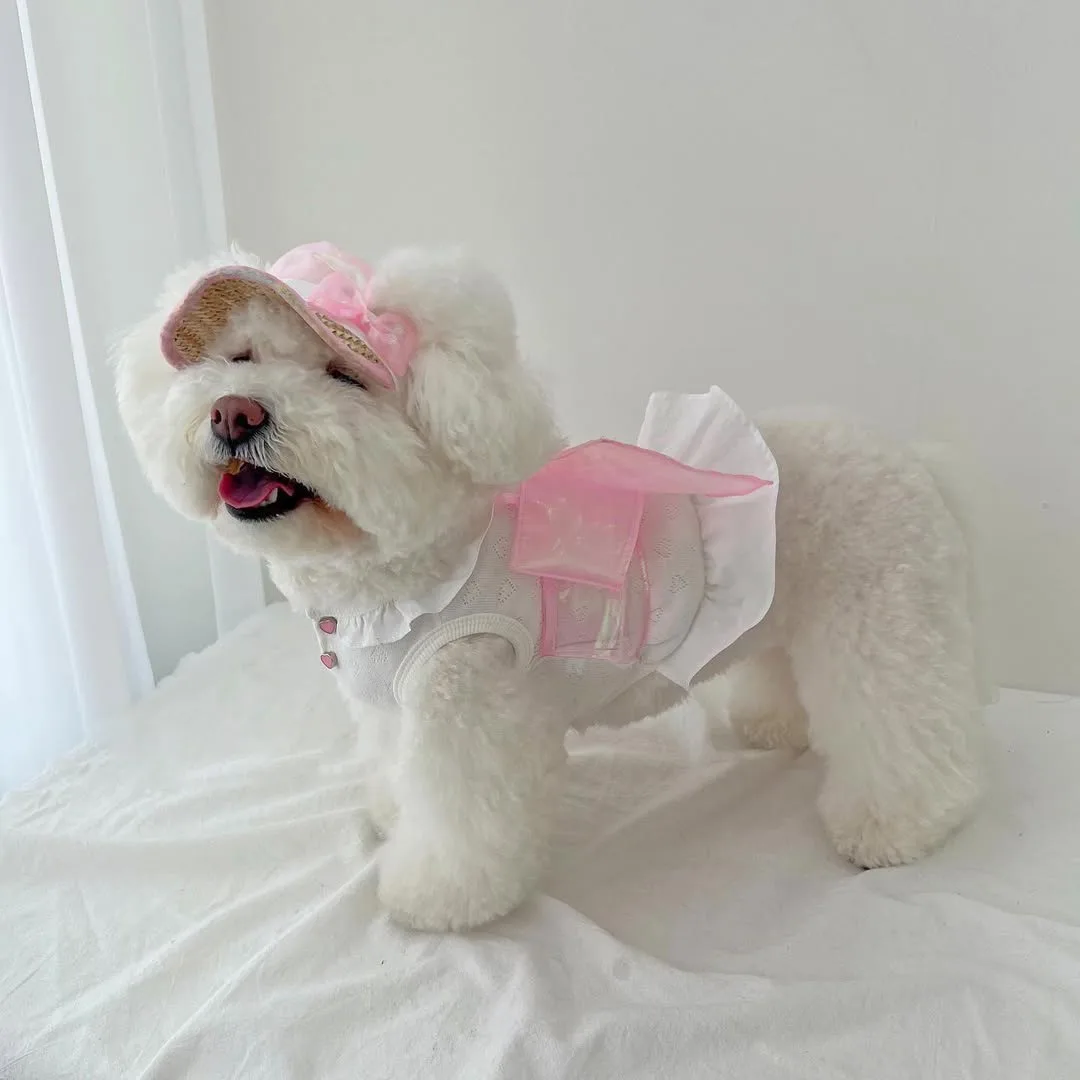 Big Bow Dress Summer Princess Style Dog Clothes Flowing Teddy Clothes Bichon Frise Cat Skirt Puppy Birthday Gift
Big Bow Dress Summer Princess Style Dog Clothes Flowing Teddy Clothes Bichon Frise Cat Skirt Puppy Birthday Gift