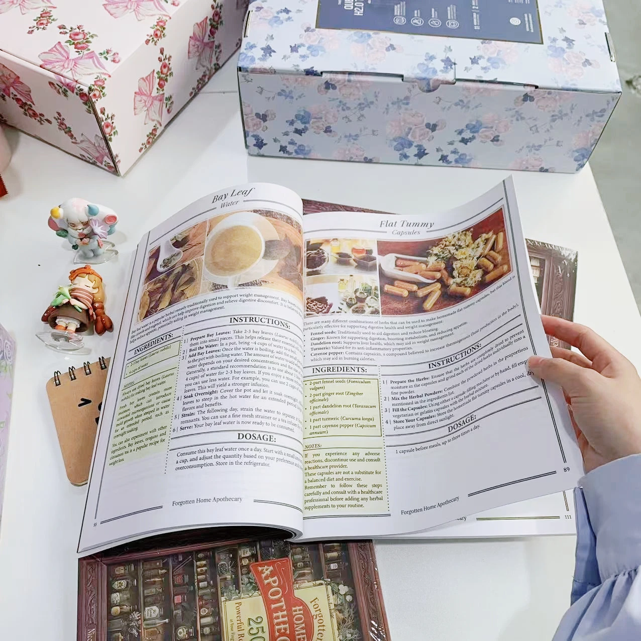 DIY Herbal Medicine Chest: Step-by-Step Guide to 250 Traditional Remedies & Household Healing
DIY Herbal Medicine Chest: Step-by-Step Guide to 250 Traditional Remedies & Household Healing