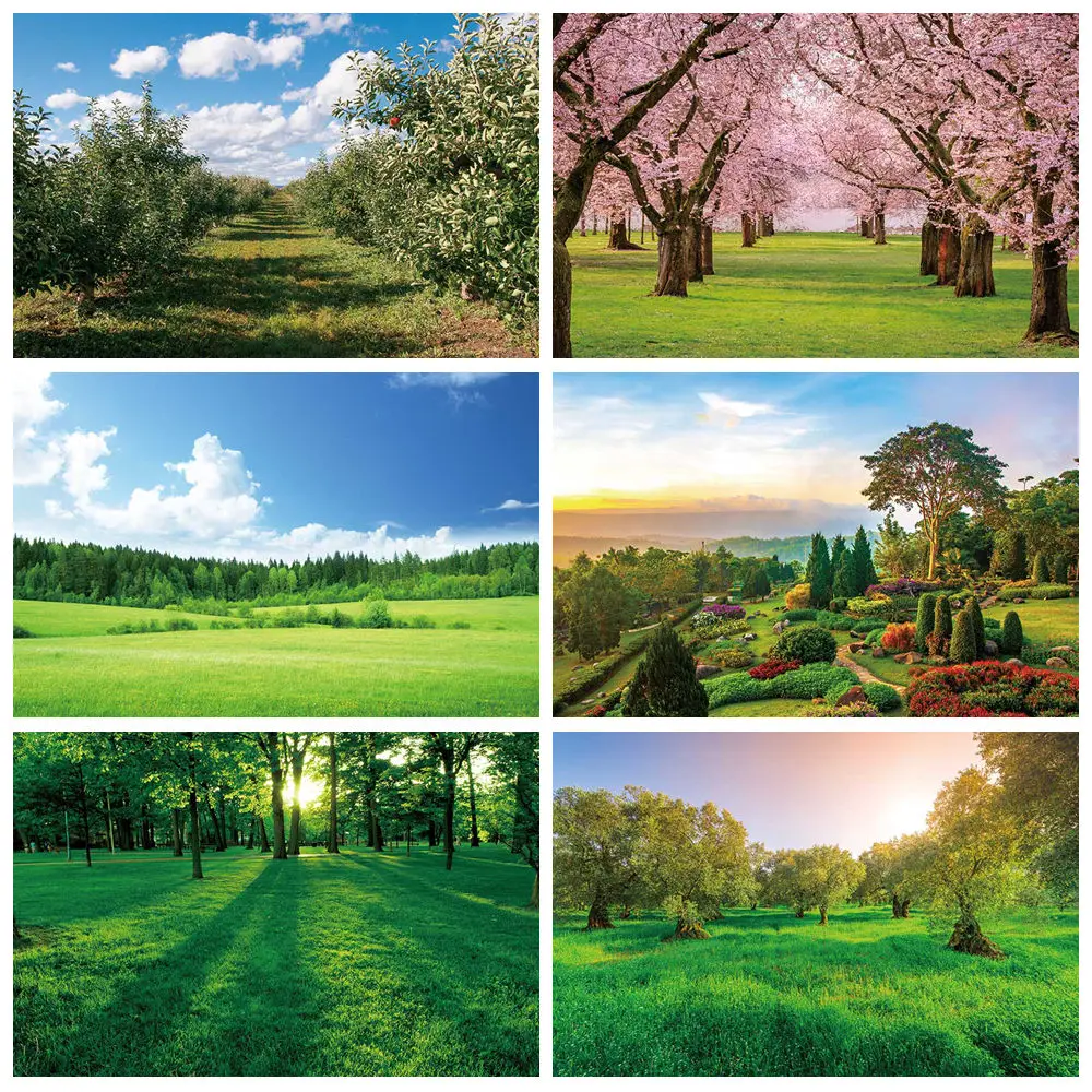 MOON.QG Spring Forest Garden Backdrop Photography Sakura Cherry Flower Blossom Background Rural Park Photo Studio Home Decor
MOON.QG Spring Forest Garden Backdrop Photography Sakura Cherry Flower Blossom Background Rural Park Photo Studio Home Decor