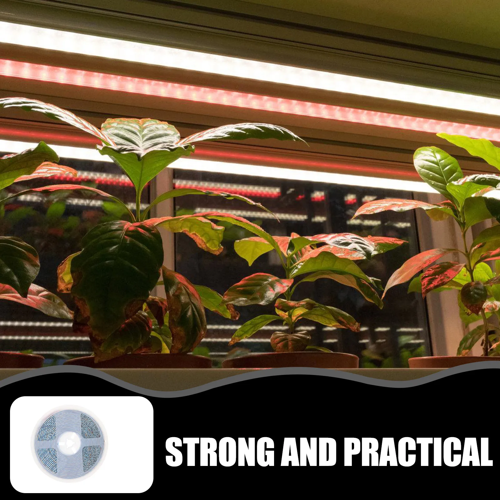 Светодиодная лампа для растений 300 Вт, водонепроницаемая, гибкая лента, SMD 5050, простая установка, для выращивания растений, овощей, цветов, для сада и дома
Светодиодная лампа для растений 300 Вт, водонепроницаемая, гибкая лента, SMD 5050, простая установка, для выращивания растений, овощей, цветов, для сада и дома