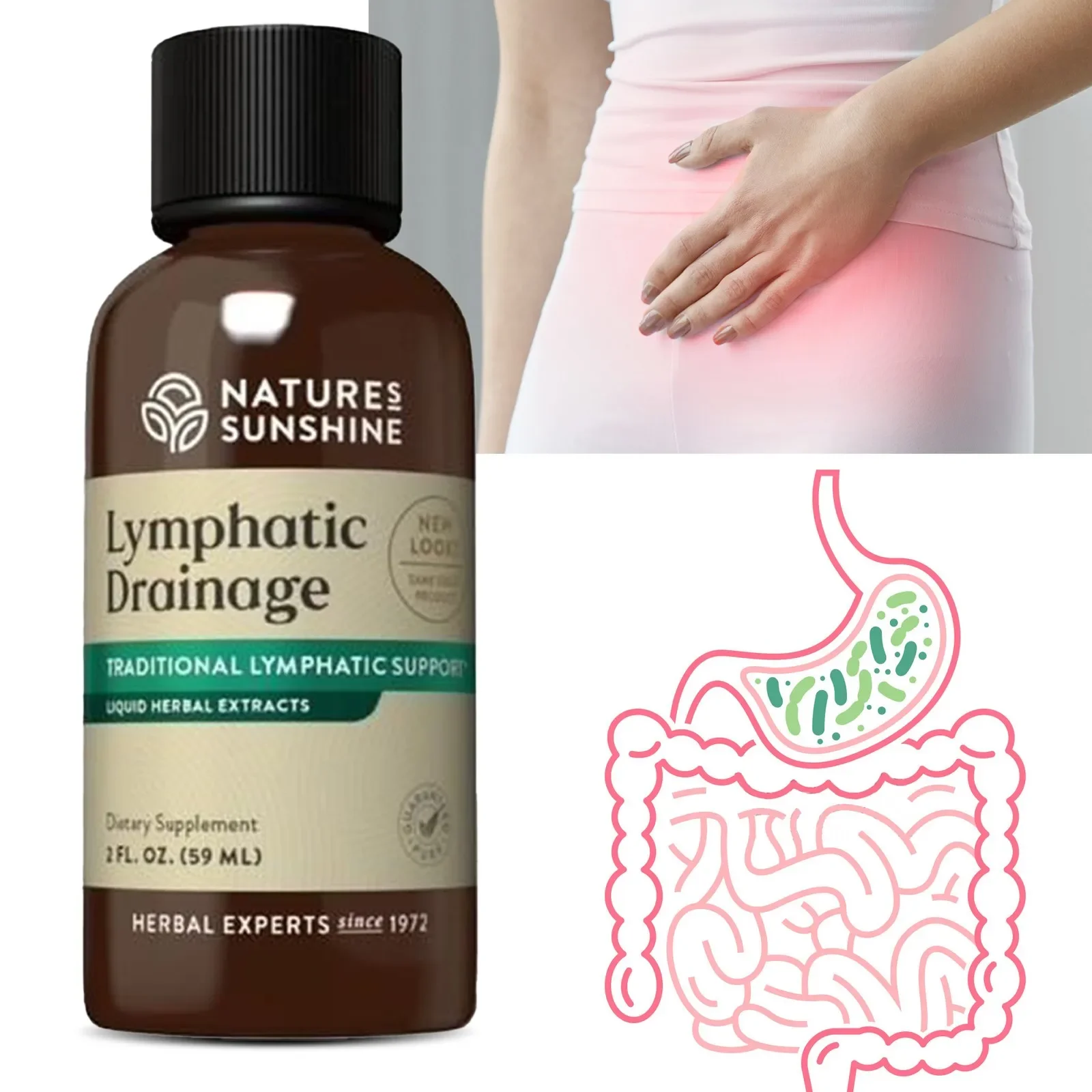 Lymphatic Drainage - Immune Support, Cleanse & Detox, Immunity, Strengthens Your Immune Defenses Naturally
Lymphatic Drainage - Immune Support, Cleanse & Detox, Immunity, Strengthens Your Immune Defenses Naturally