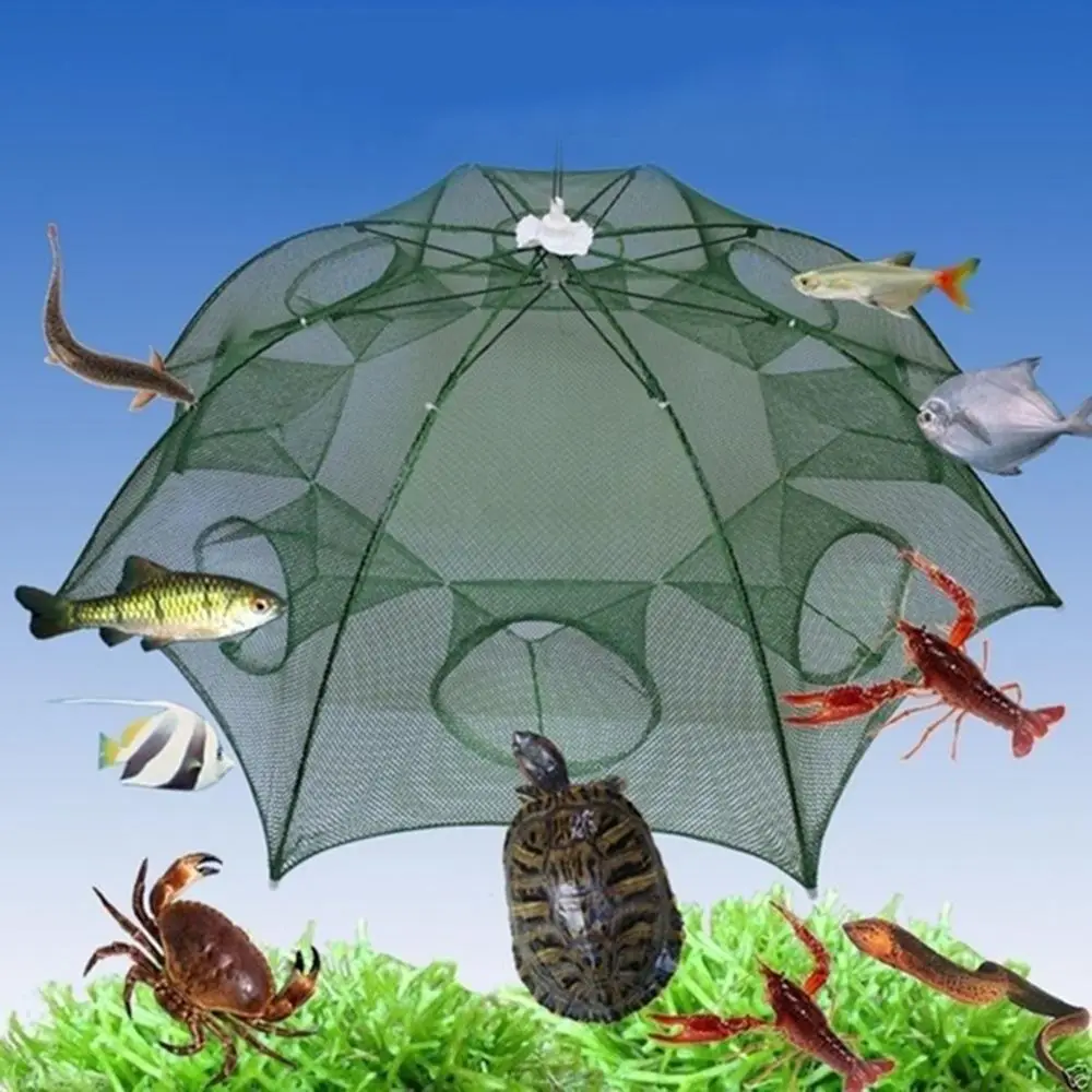Foldable Nylon Automatic Folding Portable Network Fish Crab Trap Shrimp Cage Fishing Net Fishing Mesh
Foldable Nylon Automatic Folding Portable Network Fish Crab Trap Shrimp Cage Fishing Net Fishing Mesh