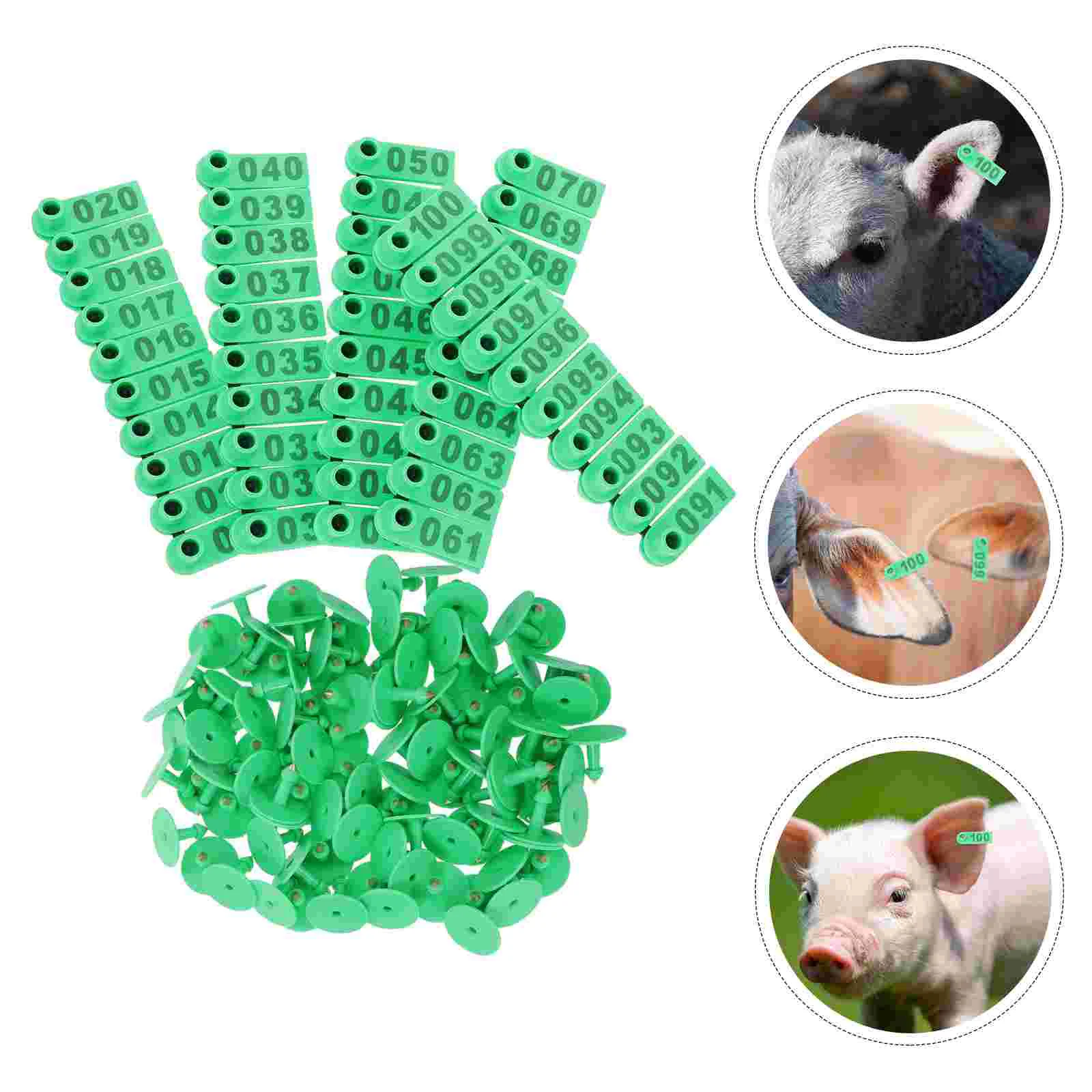 100 Pcs Sheep Ear Tag Tags Animal for Cow Tpu Blank Cattle Livestock Identification
100 Pcs Sheep Ear Tag Tags Animal for Cow Tpu Blank Cattle Livestock Identification