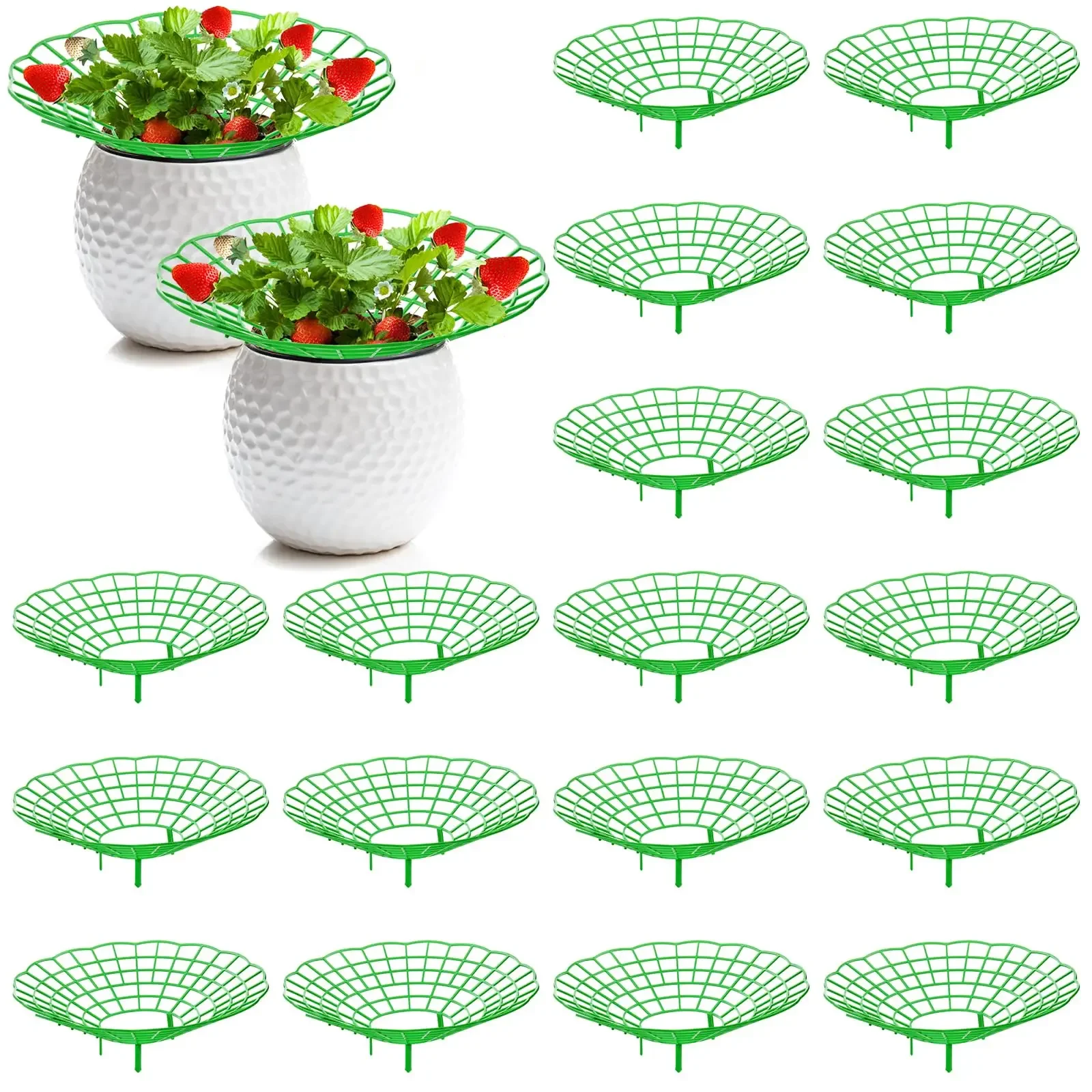 10PCS Vegetable Growing Rack Garden Tools Strawberry Supports With 3 Sturdy Support Feet Keeping Plant Fruit Stand
10PCS Vegetable Growing Rack Garden Tools Strawberry Supports With 3 Sturdy Support Feet Keeping Plant Fruit Stand