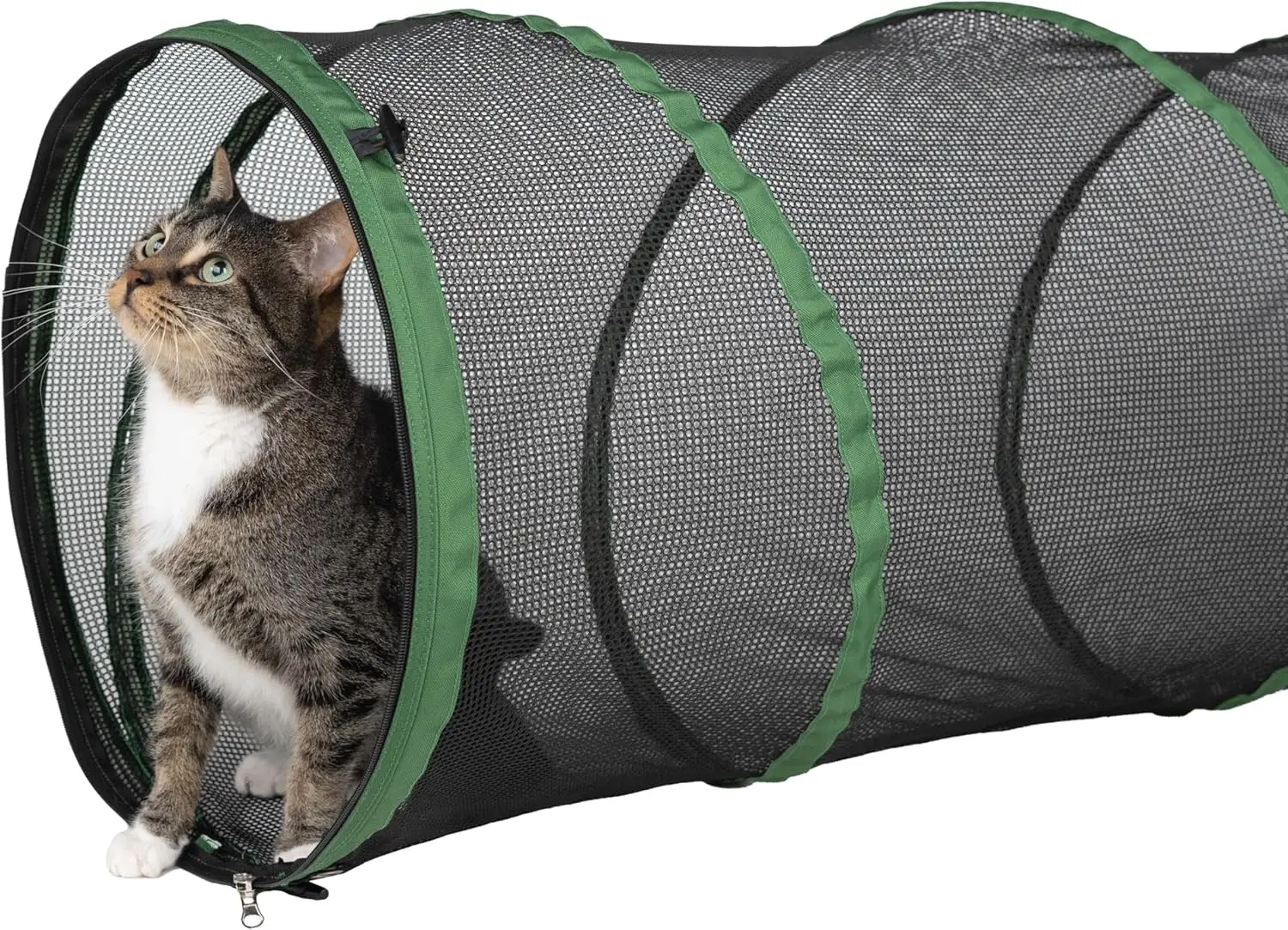 Large Outdoor 20-Foot Play Tunnel for Cats, Fun and Durable Pet Toy
Large Outdoor 20-Foot Play Tunnel for Cats, Fun and Durable Pet Toy
