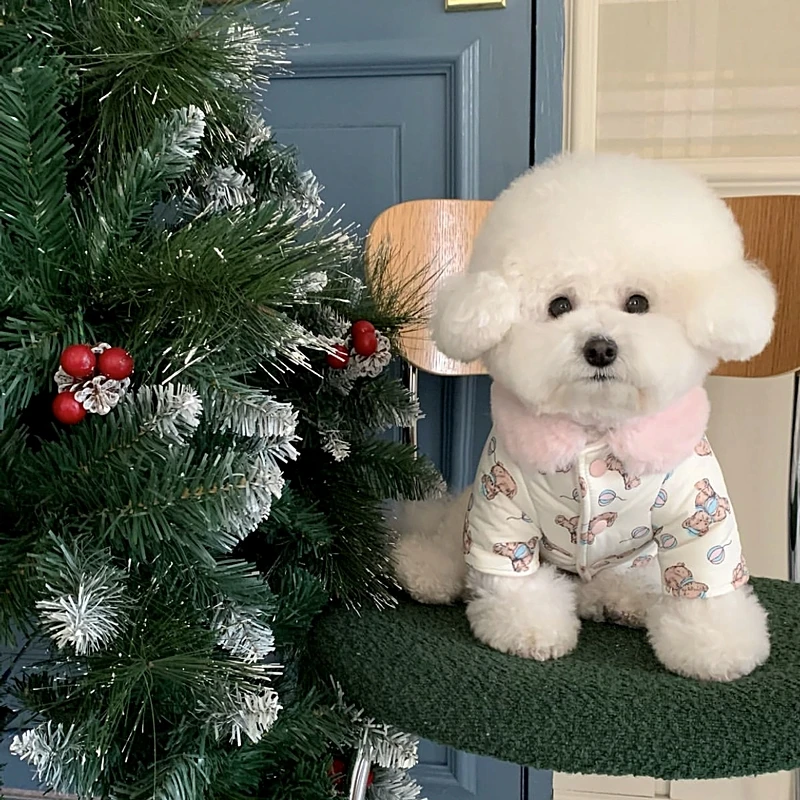 Balloon Bear Down Coat Thickened Pet Cotton Clothes Winter Dog Clothes Teddy Warm Coat Puppy Cartoon Two Legs Clothes
Balloon Bear Down Coat Thickened Pet Cotton Clothes Winter Dog Clothes Teddy Warm Coat Puppy Cartoon Two Legs Clothes