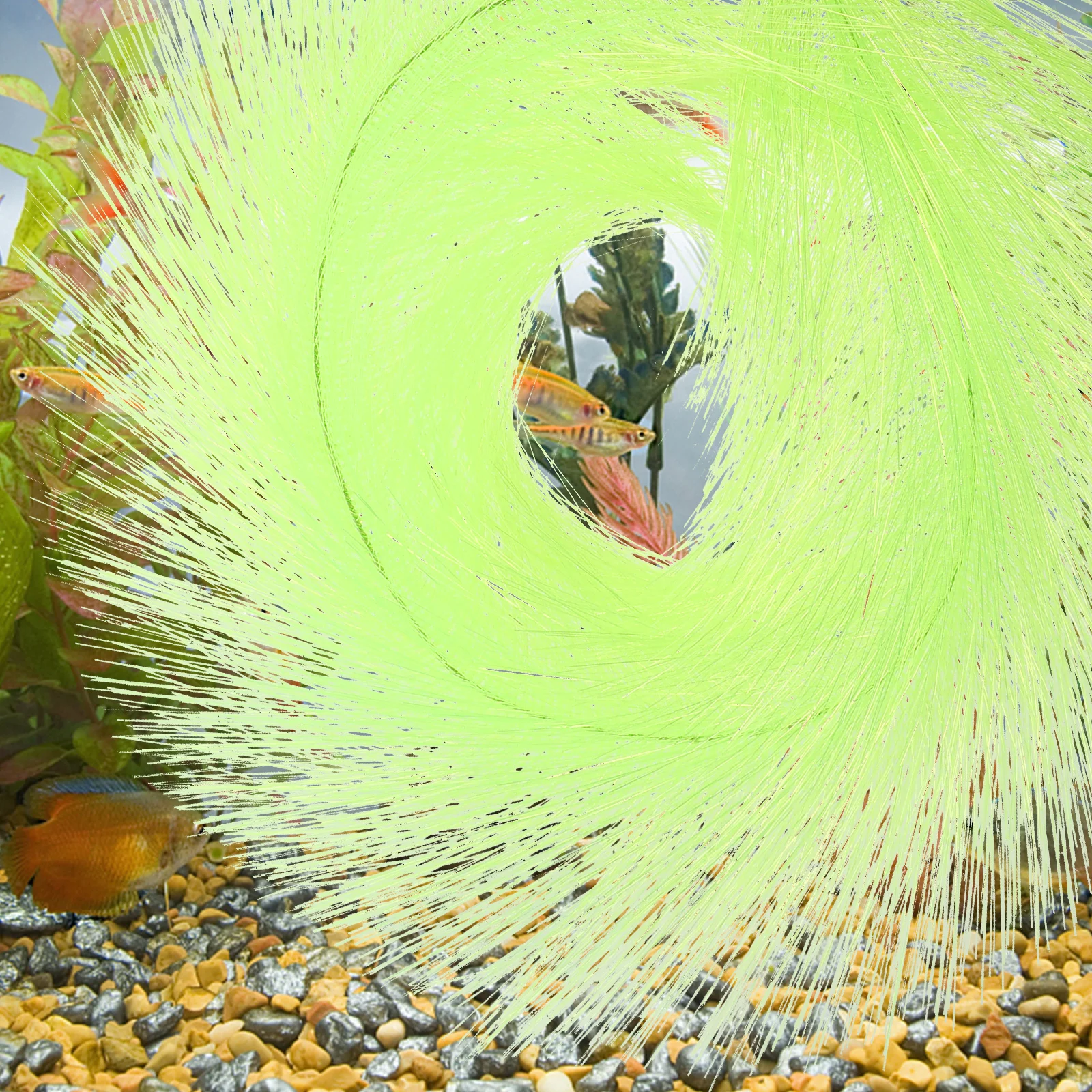 Fish Breeding Mop Spawning Mop Aquarium Decor Angelfish Shrimp Tank Breeding Mops Fish Tank Ornament Egg Collector
Fish Breeding Mop Spawning Mop Aquarium Decor Angelfish Shrimp Tank Breeding Mops Fish Tank Ornament Egg Collector