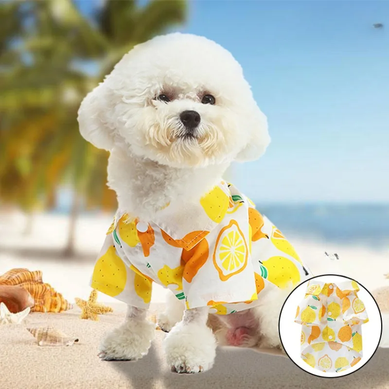 Pet Clothing Spring/summer Fruit Style Open Button Shirt Casual Breathable Thin Style
Pet Clothing Spring/summer Fruit Style Open Button Shirt Casual Breathable Thin Style