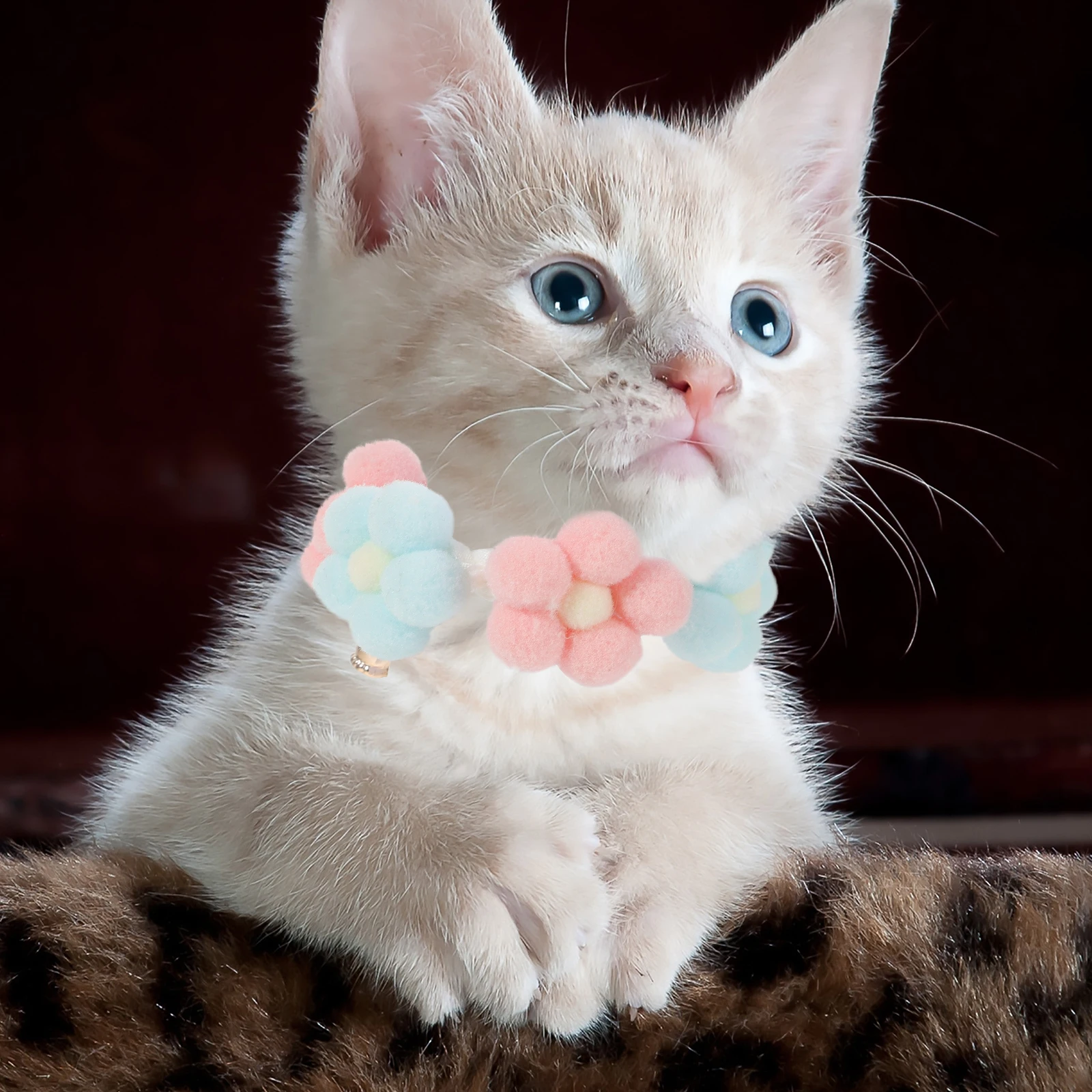 Pet Collar for Kitten Puppy Adjustable Hand Knitted Blue Small Scarf Choker Cat Dog Accessories Durable Safe Fashionable
Pet Collar for Kitten Puppy Adjustable Hand Knitted Blue Small Scarf Choker Cat Dog Accessories Durable Safe Fashionable