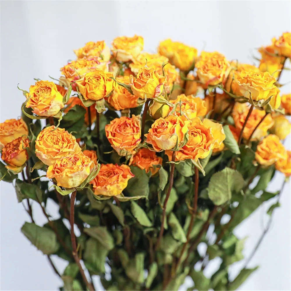 a lot Small Rose, Decorative Natural Dried Flowers, Bouquet For Wedding,Party Decoration,DIY Craft,Home Decor,Flowers For Crafts
a lot Small Rose, Decorative Natural Dried Flowers, Bouquet For Wedding,Party Decoration,DIY Craft,Home Decor,Flowers For Crafts