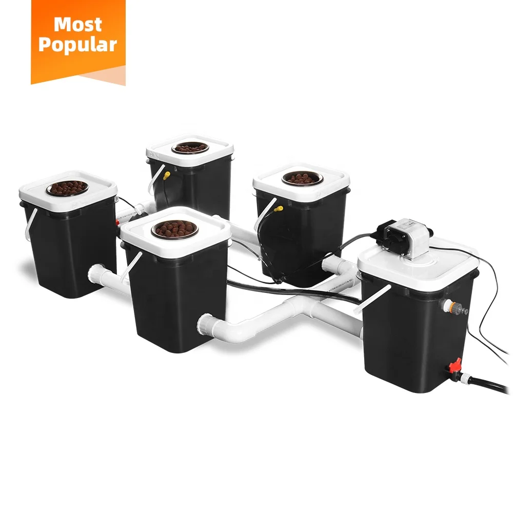 New Arrival China Hydroponics Indoor Growth Nutrition Drip Irrigation Hydroponics System Hydroponics Manufacturer
New Arrival China Hydroponics Indoor Growth Nutrition Drip Irrigation Hydroponics System Hydroponics Manufacturer