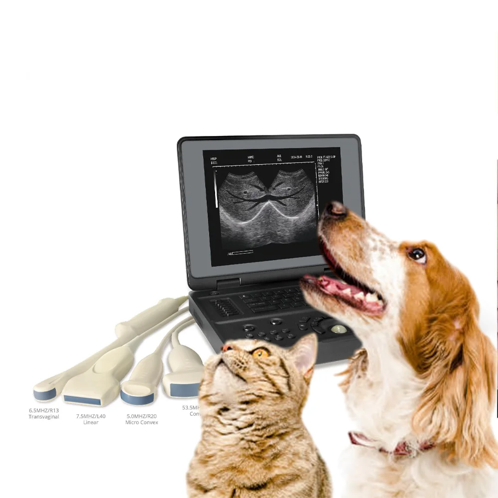 Portable Full Digital Veterinary Diagnostic Ultrasound Imaging System 3D 4D Color Doppler For Veterinary Hospital
Portable Full Digital Veterinary Diagnostic Ultrasound Imaging System 3D 4D Color Doppler For Veterinary Hospital