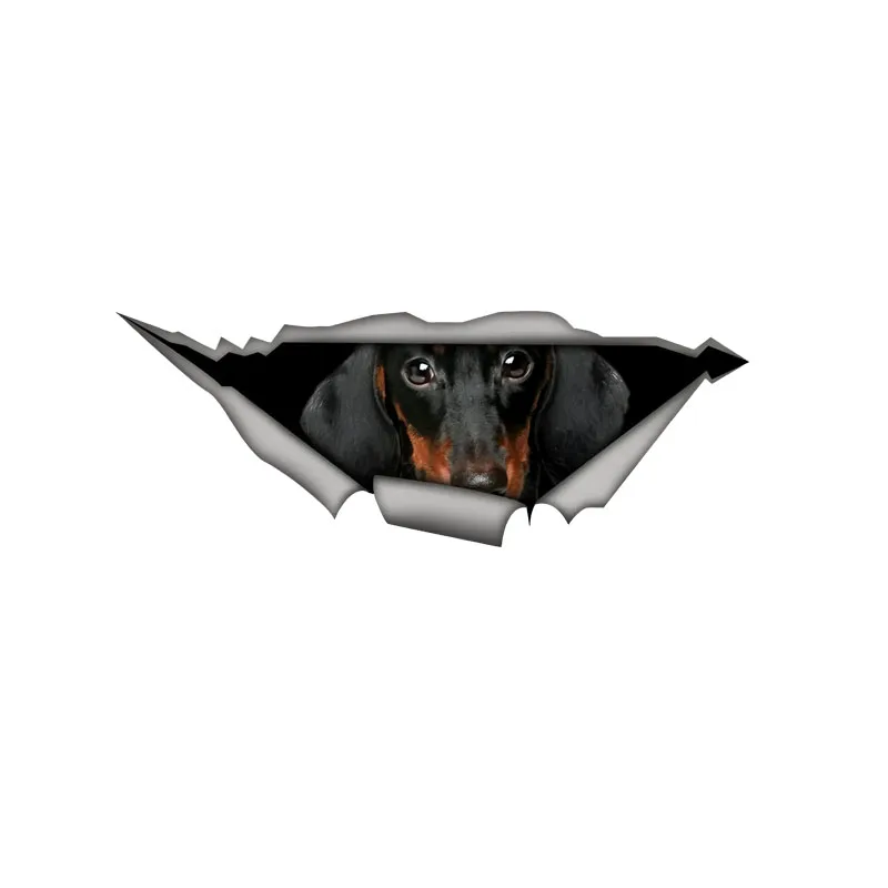 DK597# Dachshund Car Bumper Window Stickers For Car Truck Van Fashion Decals Vinyl Material Stickers
DK597# Dachshund Car Bumper Window Stickers For Car Truck Van Fashion Decals Vinyl Material Stickers