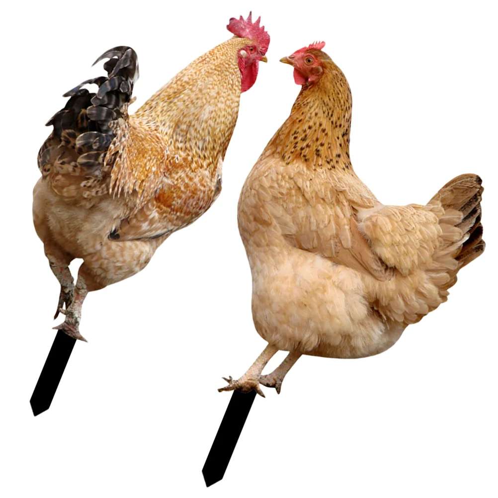 2 Pcs Chicken Rooster Figurines Garden Decoration Outdoor Ornaments Simulation Insert Animal Stake
2 Pcs Chicken Rooster Figurines Garden Decoration Outdoor Ornaments Simulation Insert Animal Stake