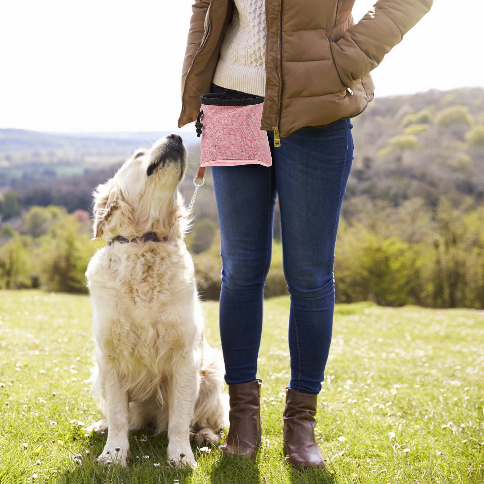 1pc Dog Training Pouch Bag Pet Treat Holder Snack Carrier Belt Waist Pocket Accessories For Walking Outdoor Storage
1pc Dog Training Pouch Bag Pet Treat Holder Snack Carrier Belt Waist Pocket Accessories For Walking Outdoor Storage