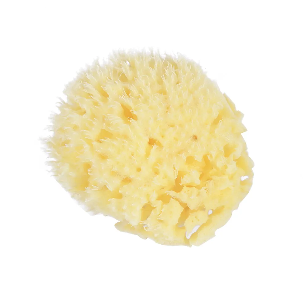 Honeycomb Sponge 3.5 to 4.0 Inches Natural Bath Sponge for Sensitive Skin Gentle Cleansing Massaging Body Shower Use
Honeycomb Sponge 3.5 to 4.0 Inches Natural Bath Sponge for Sensitive Skin Gentle Cleansing Massaging Body Shower Use
