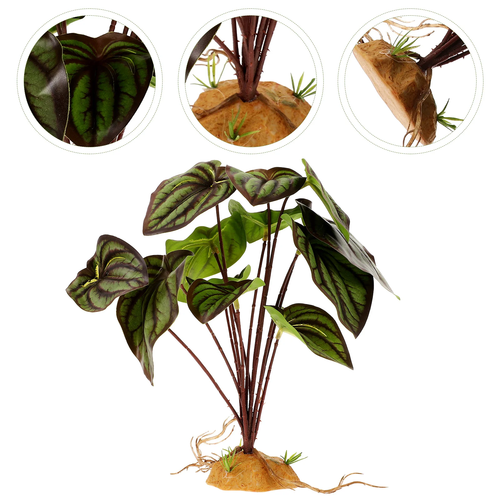 Decorative Plants for Terrarium Reptile Habitat Sturdy Base Aquarium Landscaping Vivid Color Lifelike nament Pet Supplies Fake
Decorative Plants for Terrarium Reptile Habitat Sturdy Base Aquarium Landscaping Vivid Color Lifelike nament Pet Supplies Fake