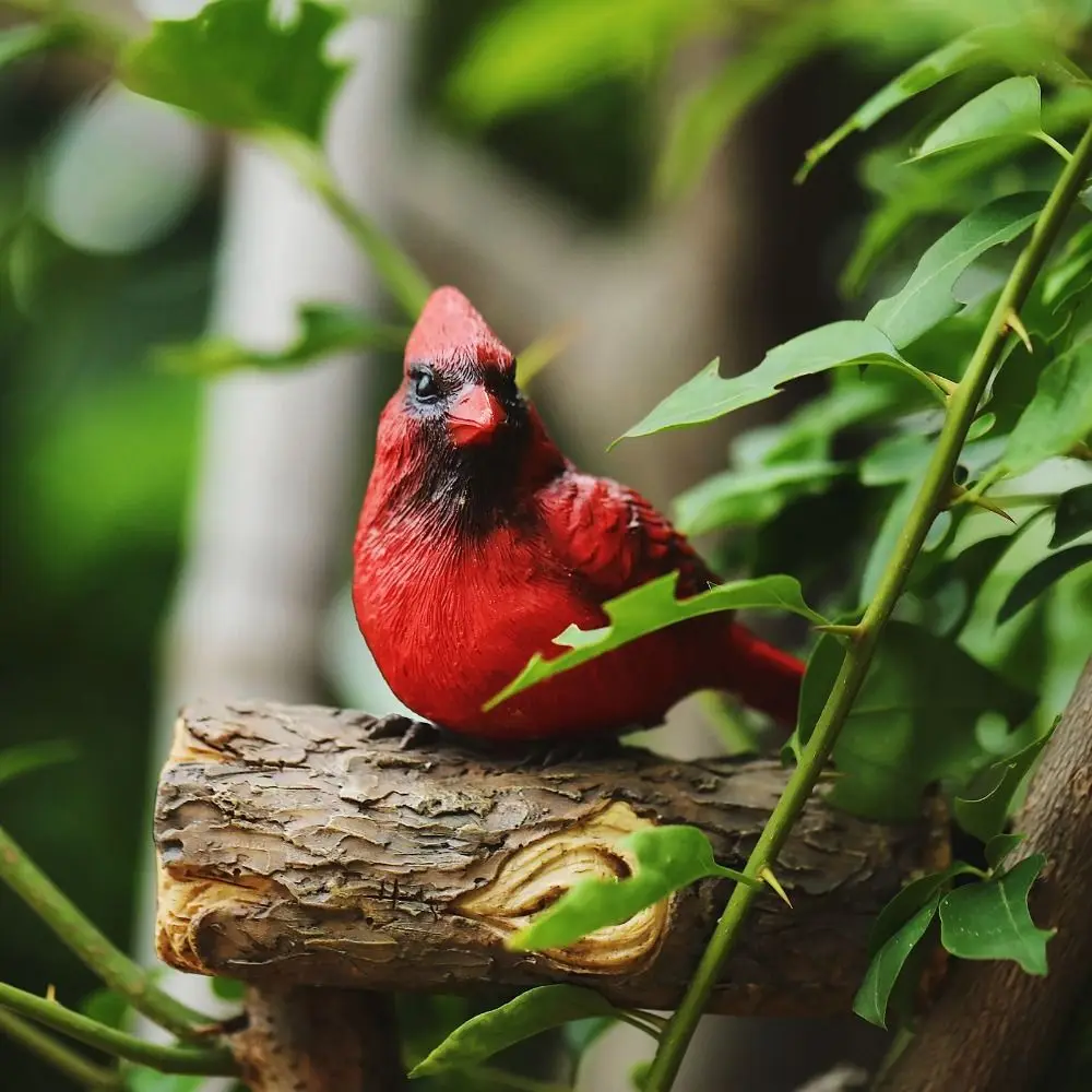 Garden Decor Resin Bird Ornament Figurine Wall Mount Simulation Animal Statue Decorative Miniatures Sculpture Tree 
Garden Decor Resin Bird Ornament Figurine Wall Mount Simulation Animal Statue Decorative Miniatures Sculpture Tree