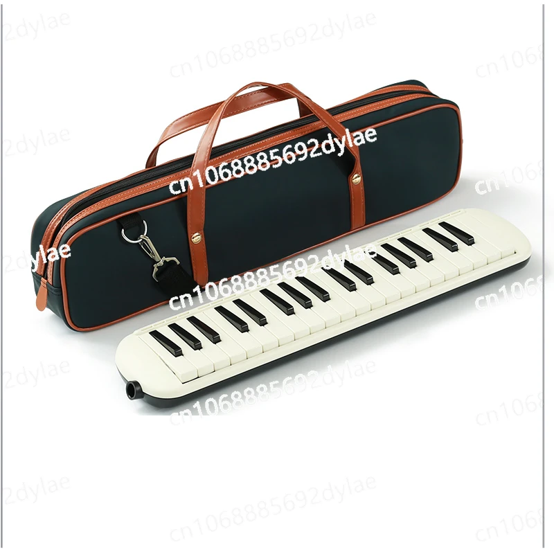 37 Key Accordion for Primary School Students, Specialized for Middle School Students, Wind Instrument for Middle School Students
37 Key Accordion for Primary School Students, Specialized for Middle School Students, Wind Instrument for Middle School Students