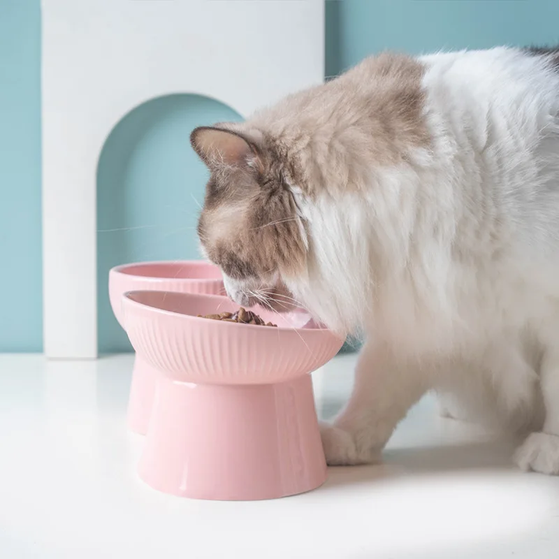 Fashion Elevated Ceramic Cat Bowl 15° Tilted Raised Pet Food Water Bowl Anti‑Slip High Foot Feeder for Dogs Cats Neck Protection
Fashion Elevated Ceramic Cat Bowl 15° Tilted Raised Pet Food Water Bowl Anti‑Slip High Foot Feeder for Dogs Cats Neck Protection