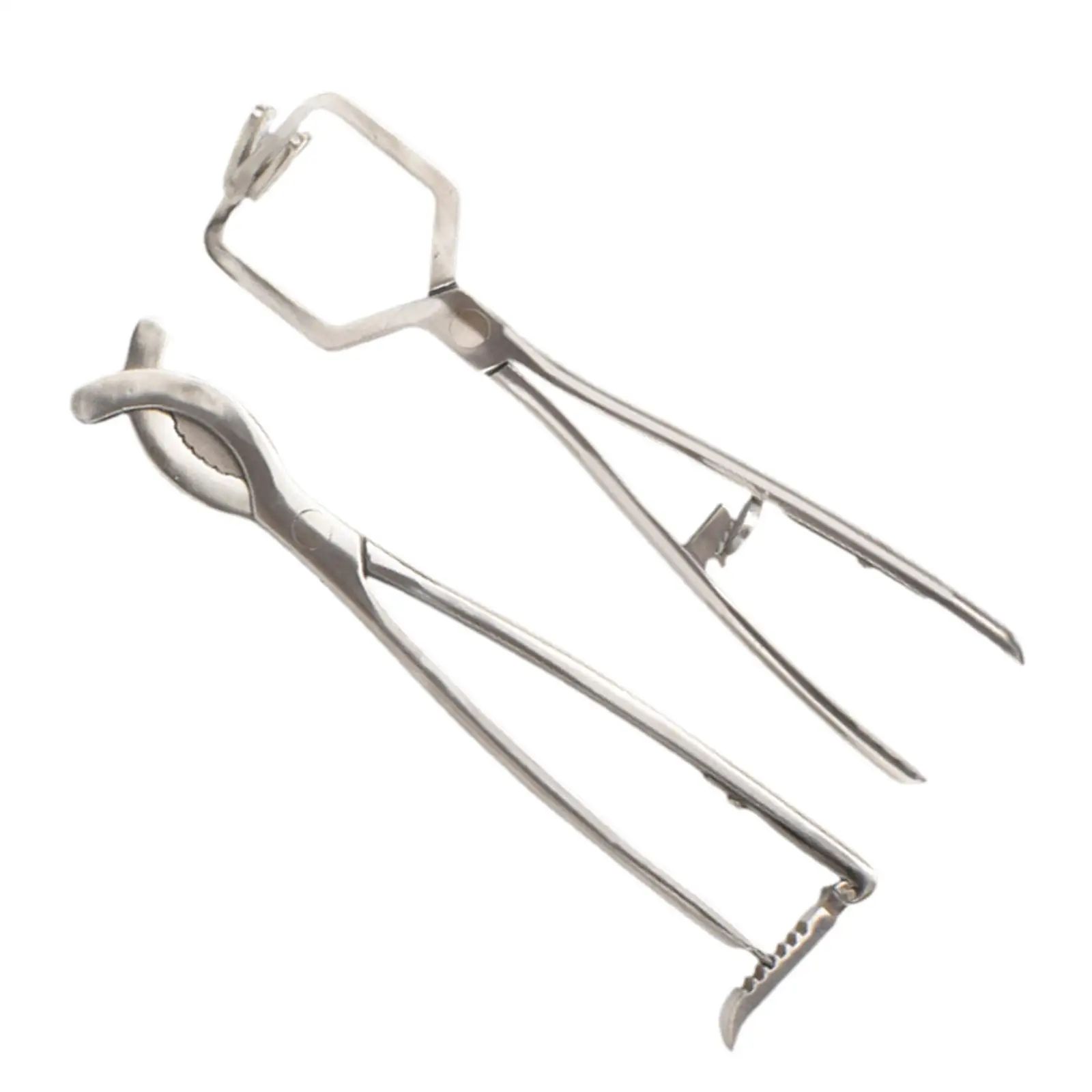 Castration Tool Expander Tool Livestock Castration Solution Stainless Steel Bander for Calves Goats Lambs Veterinary Piglets
Castration Tool Expander Tool Livestock Castration Solution Stainless Steel Bander for Calves Goats Lambs Veterinary Piglets