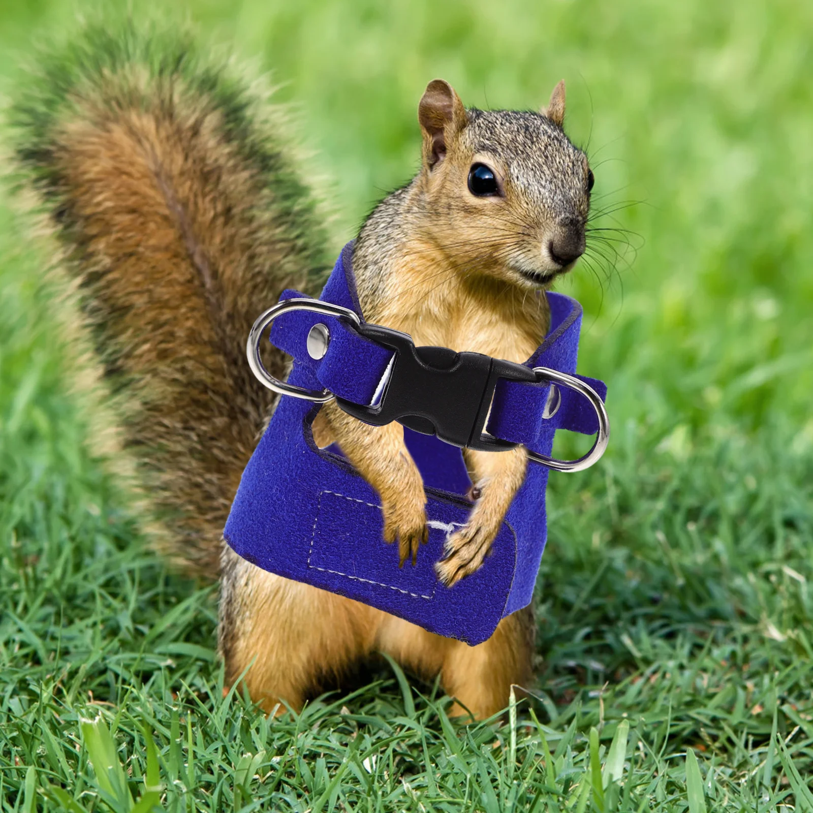 1 set Rabbit Leash Harness Set Anti-Chew Traction Rope Comfortable Walking Vest For Small Animals Bunny Safety Harness Kit Pet
1 set Rabbit Leash Harness Set Anti-Chew Traction Rope Comfortable Walking Vest For Small Animals Bunny Safety Harness Kit Pet